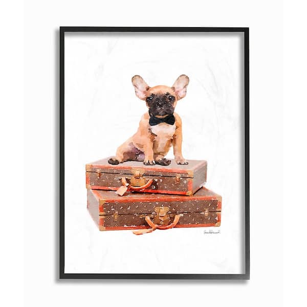 Stupell Industries 11 in. x 14 in. "Travelling Frenchie with Bow Tie on Brown Fashion Luggage" by Amanda Greenwood Framed Wall Art