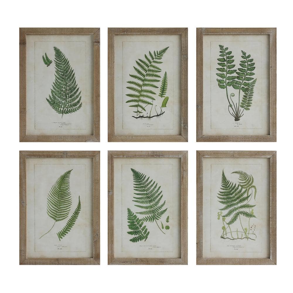 Storied Home 6 Piece Framed Fern Fronds Graphic Print Nature Poster 19. ...