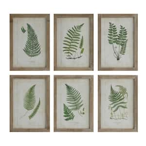 6 Piece Framed Fern Fronds Graphic Print Nature Poster 19.75 in. x 13.75 in.