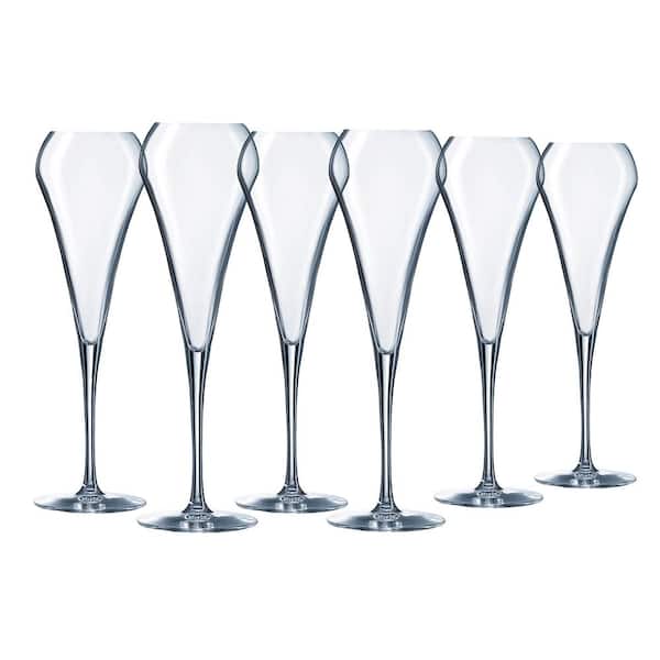 Chef & Sommelier Bellevue 16 Ounce Tulip Wine Glass, Set of 6 - Clear