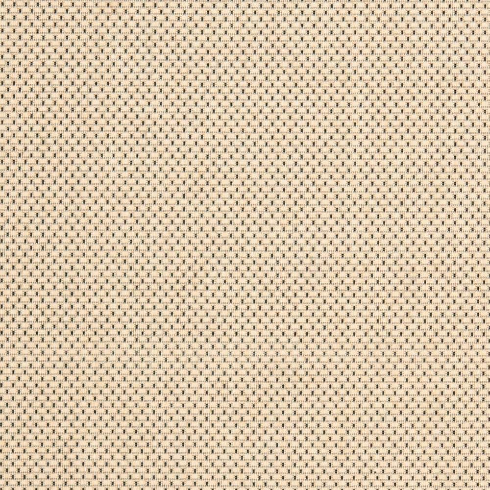 Elegant Gray and Cream 8' x 11' Synthetic Flat Woven Outdoor Rug