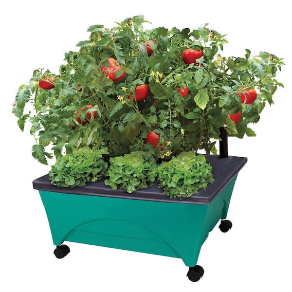 CITY PICKERS 24.5 in. x 20.5 in. Patio Raised Garden Bed Grow Box Kit with Watering System and Casters in Aquamarine
