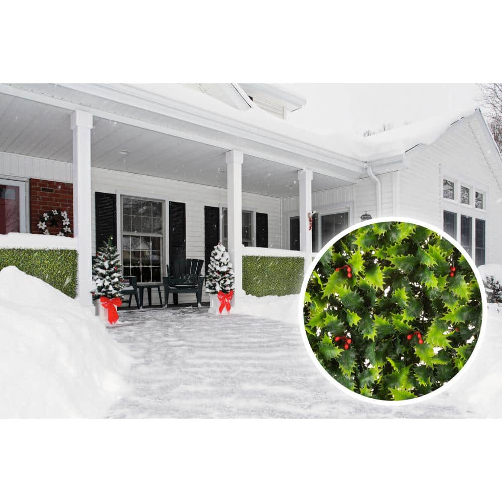 naturae decor 20 in. x 20 in. Holly Mistletoe Artificial Foliage Panel  (4-Pack) MTR2020-20HO4PK The Home Depot