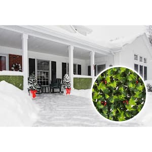 Superior UV Resistant Quality artificial foliage 20 in. x 20 in. hedge holly mistletoe panels (4pcs)