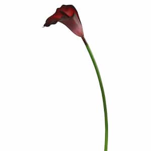 28 in Artificial Burgundy Large Stem Calla Lily