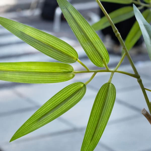 DR.Planzen 6 ft. Artificial Bamboo Tree 12 Pack Fake Plant with