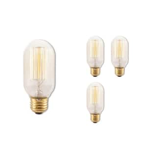 40-Watt Equivalent T14 Amber Light 2200K Medium Base (E26) Antique Nostalgic Thread Incandescent Light Bulb(4-pack)