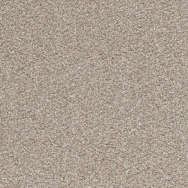 Home Decorators Collection Perfected I  - Masterly - Gray 40 oz. SD Polyester Texture Installed Carpet
