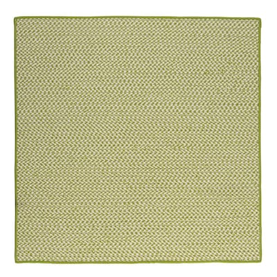 Sadie Lime 6 ft. x 6 ft. Indoor/Outdoor Braided Area Rug