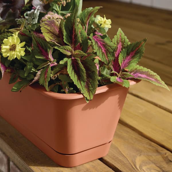 Vigoro Antonella Clay Plastic Rectangular Window Planter Box with
