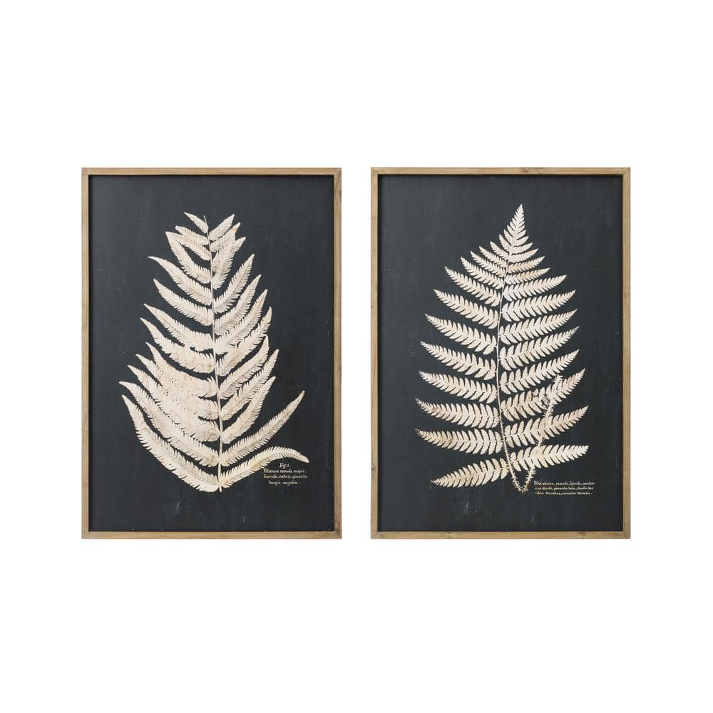 Storied Home 2 Piece Framed Graphic Print Fern Leaf Nature Art Print 39 