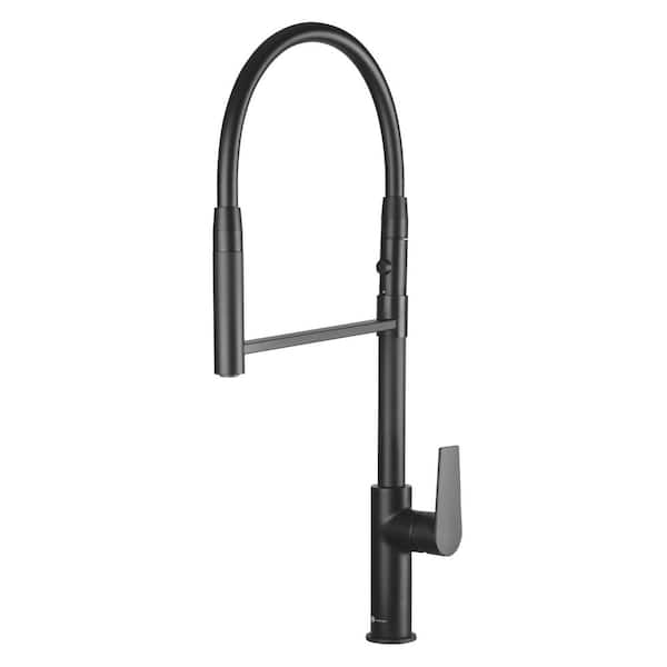 Lizetta 1-Hand Pull Down Kitchen Faucet in Matte Black