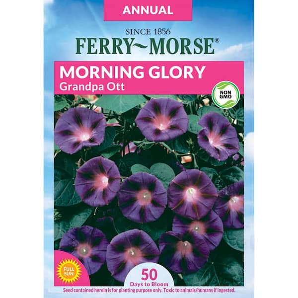 Ferry-Morse Morning Glory Grandpa Ott Flower Seed