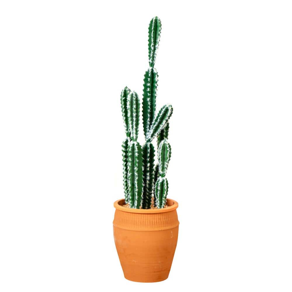 Nearly Natural 41 in. Artificial Green Cactus in Terracotta