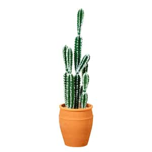 41 in. Artificial Green Cactus in Terracotta Planter