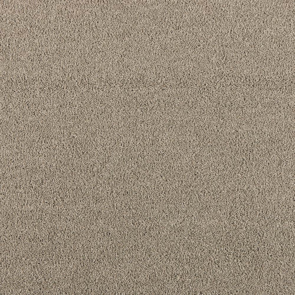 8 in. x 8 in. Texture Carpet Sample - Tailored Trends II -Color Sophisticated price history on PriceWatchPro