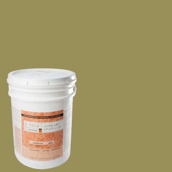 YOLO Colorhouse 5-gal. Leaf .05 Flat Interior Paint-DISCONTINUED