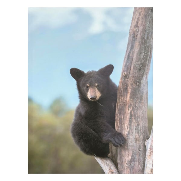 1 Piece Unframed Animal Art Print 24 in. x 32 in.