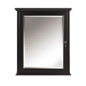 Newport 24 in. W x 28 in. H Rectangular Medicine Cabinet with Mirror