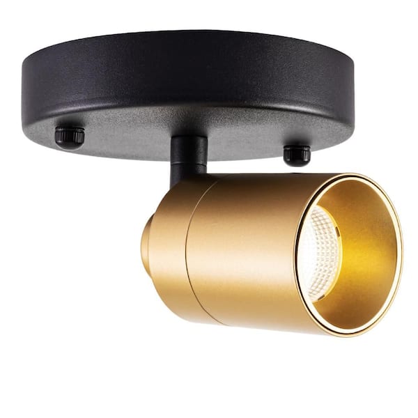 Shura Black and Brass Adjustable Spot Light, Integrated LED Bulb, Fixed Track Cylinder Spotlight, 3000k, 490 Lumens