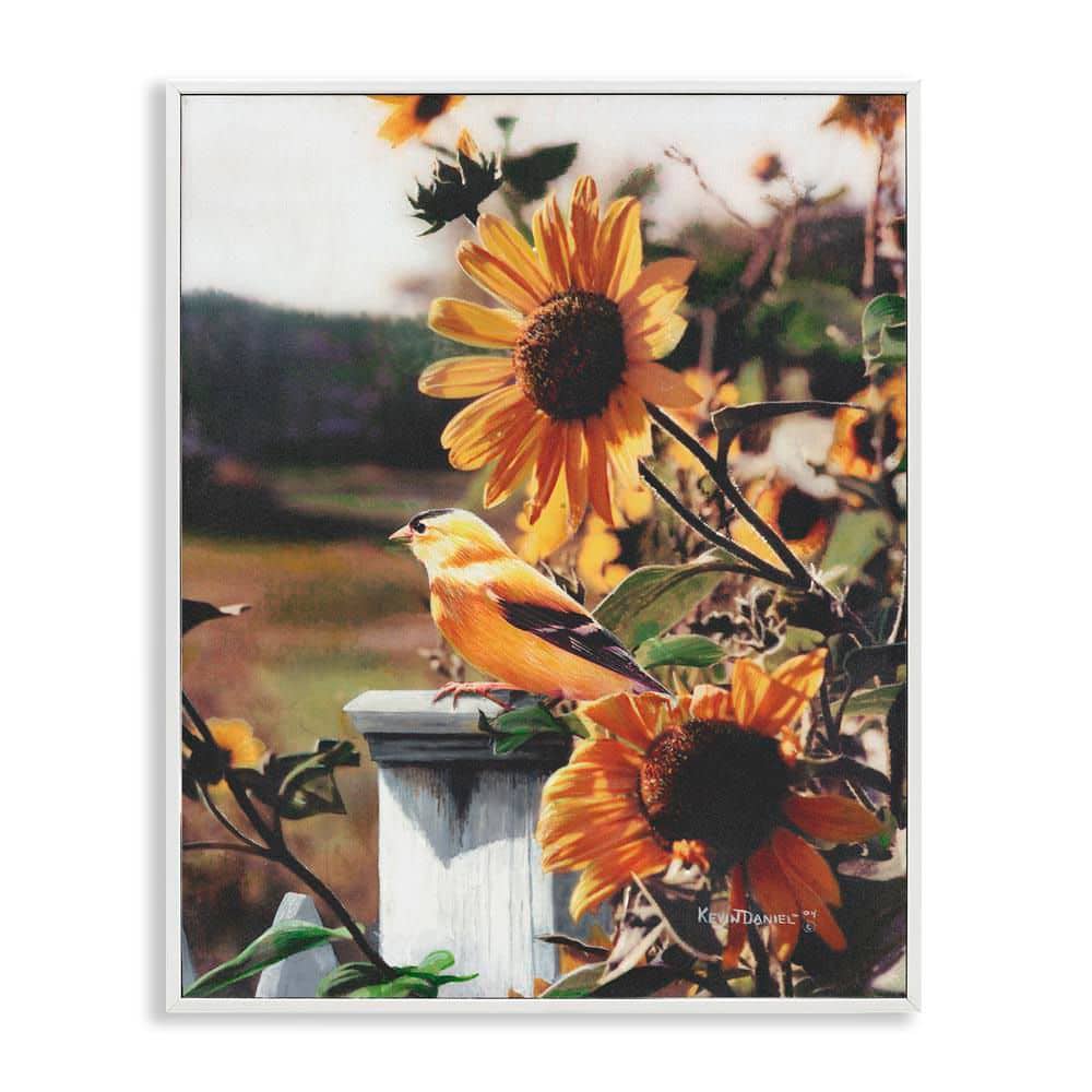 Canary Bird & Sunflowers by Kevin Daniel White Framed Nature Giclee Art Print 30 in. x 24 in. price history on PriceWatchPro