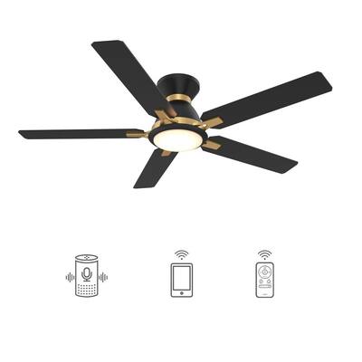 Carro Es 52 In Dimmable Led Indoor, Modern Black Ceiling Fan With Light Home Depot