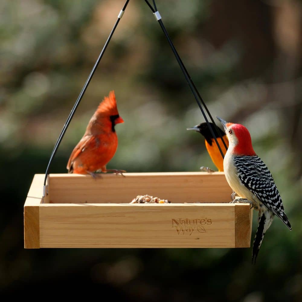 Nature's Way Cedar Platform Hanging Bird Feeder