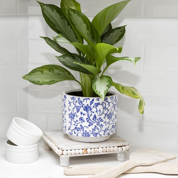 Ophelia Natural Extra-Large Planter + Reviews