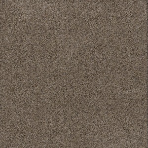 Dream Wish - Endeavor - Gray 32 oz. SD Polyester Texture Installed Carpet