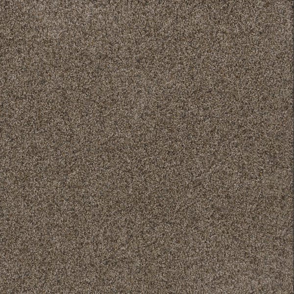 TrafficMaster Dream Wish - Endeavor - Gray 32 oz. SD Polyester Texture Installed Carpet
