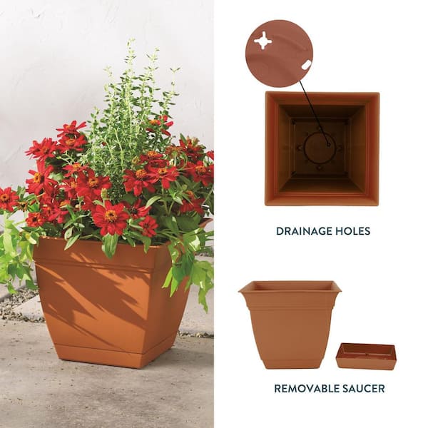 Vigoro 8 in. Mirabelle Small Clay Plastic Square Planter (8