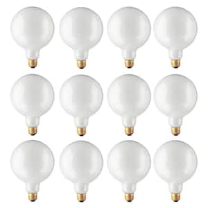 40-Watt G40 White Dimmable Warm White Light Incandescent Light Bulb (12-Pack)
