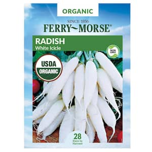 Organic Radish Icicle Short Top Vegetable Seed