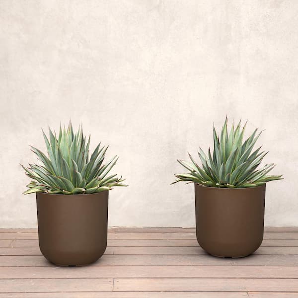 Kona Medium Espresso Plastic Round Planter with Drainage Holes (10 in. L x 10 in. W x 10.25 in. H) (2-Pack)