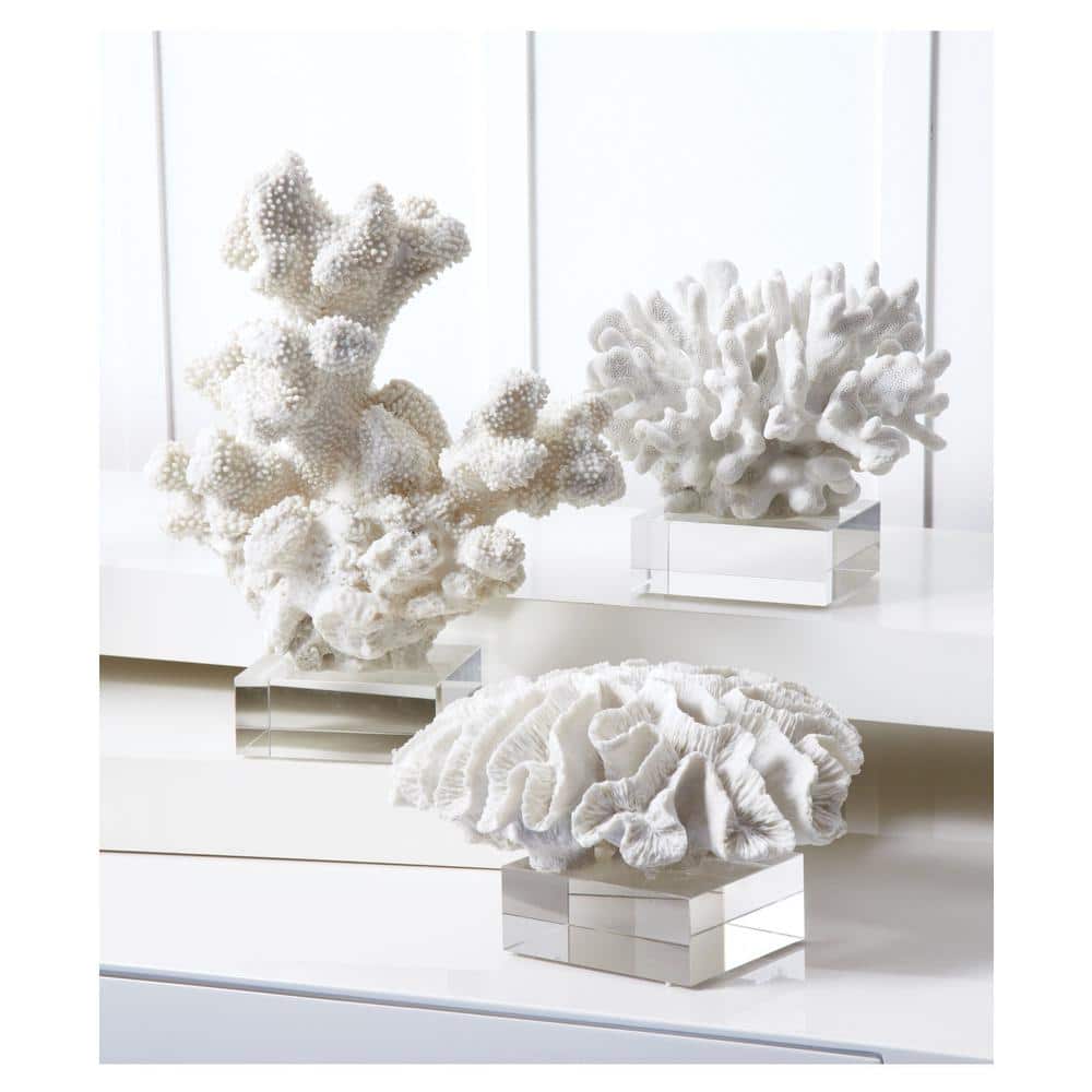 White Coral Design Tabletop Frame, 4x6