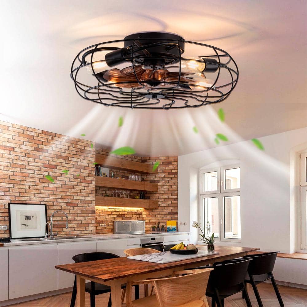 19 in.Black Low Profile Caged Ceiling Fan 6-Speed Remote Reversible DC Motor Remote 8 Blades For Living Room price history on PriceWatchPro