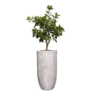 Artificial 50 " High Artificial Tung Tree With Fiberstone Planter