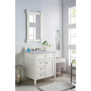 Brittany 28.8 in. W x 23.0 in. D x 32.8 in. H Single Bath Vanity Without Top in Bright White