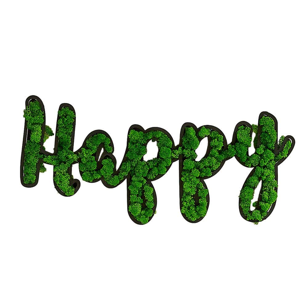 31.5 in. W x 1.58 in. D x 15.2 in. H Eco-Friendly HAPPY Letter Art Moss Wal
