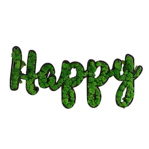 31.5 in. W x 1.58 in. D x 15.2 in. H Eco-Friendly HAPPY Letter Art Moss Wall Decor, HAPPY Word Decorative Sign, Green