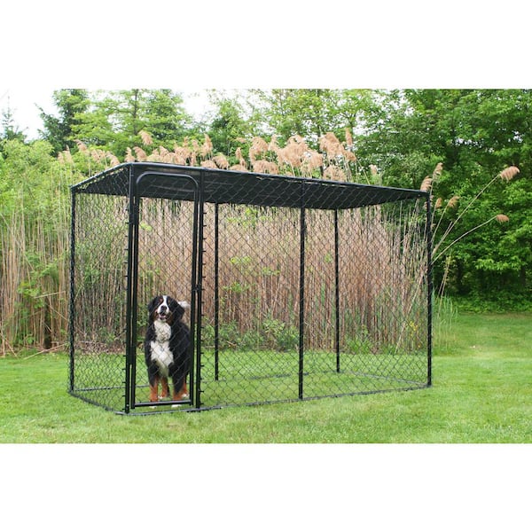 KennelMaster 10 ft. x 5 ft. x 6 ft. Black Powder-Coated Chain Link Boxed Kennel Kit