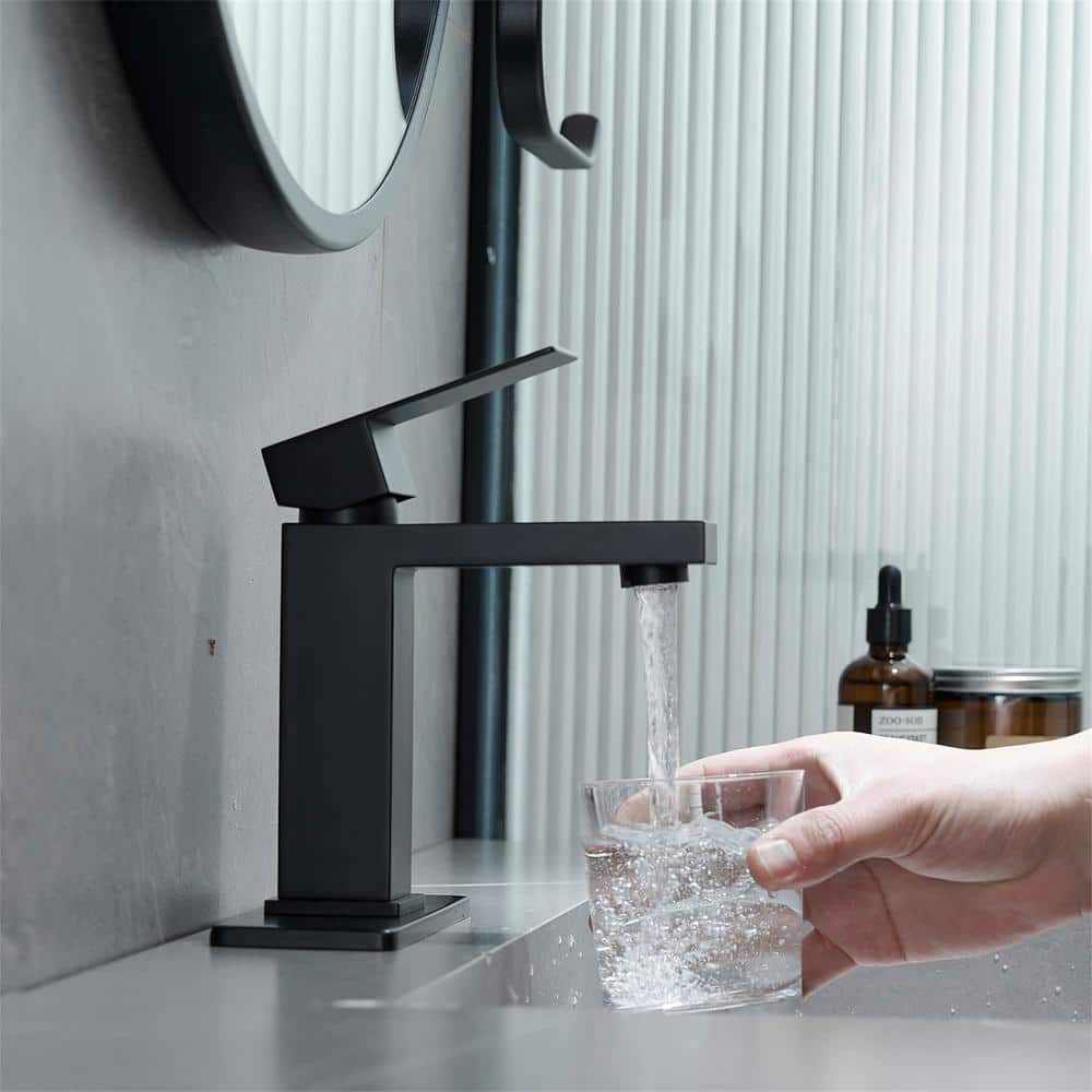 Matte Black Stainless Steel Single Handle Bathroom Faucet