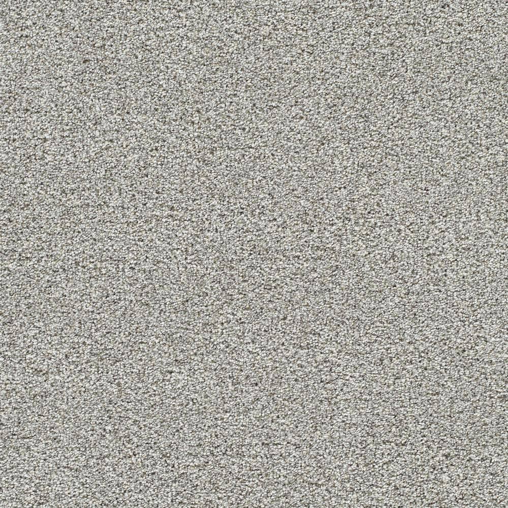 8 in. x 8 in. Texture Carpet Sample - Evermore II - Color Timeless price history on PriceWatchPro