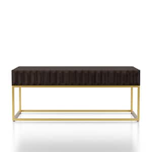 Kapulet 47.75 in. Walnut and Gold Rectangle Wood Top Coffee Table
