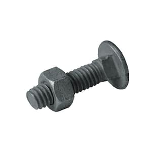 5/16 in. x 1-1/4 in. Galvanized Metal Carriage Bolt/Nut (20-Set/Bag)