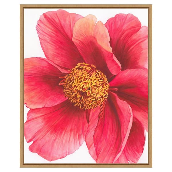 Amanti Art Tree Peony II by Grace Popp 23 in. W x 28 in. H Canvas Float Frame in Brown