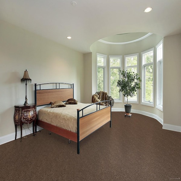 Truly - Coffee - Brown 12 ft. Wide x Cut to Length 16 oz. SD Polyester Texture Carpet