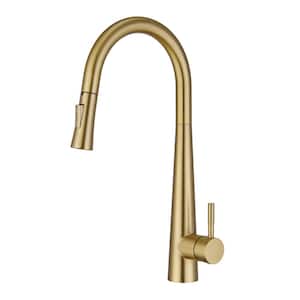 Single Handle Surface Mount High Arc Pull Down Kitchen Faucet with Tulip Spray Wand Accessories in Brushed Gold