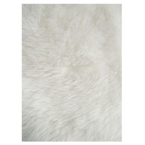 Huluwat Light Grey 5 ft. x 7 ft. Ultra Soft Fluffy Faux Fur Sheepskin Area  Rug for Bedroom Bedside and Living Room DJYC-G-B03047088 - The Home Depot