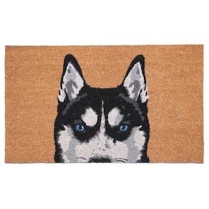 Black Siberian Husky Multi-Colored 24 in. x 36 in. Indoor or Outdoor Door Mat